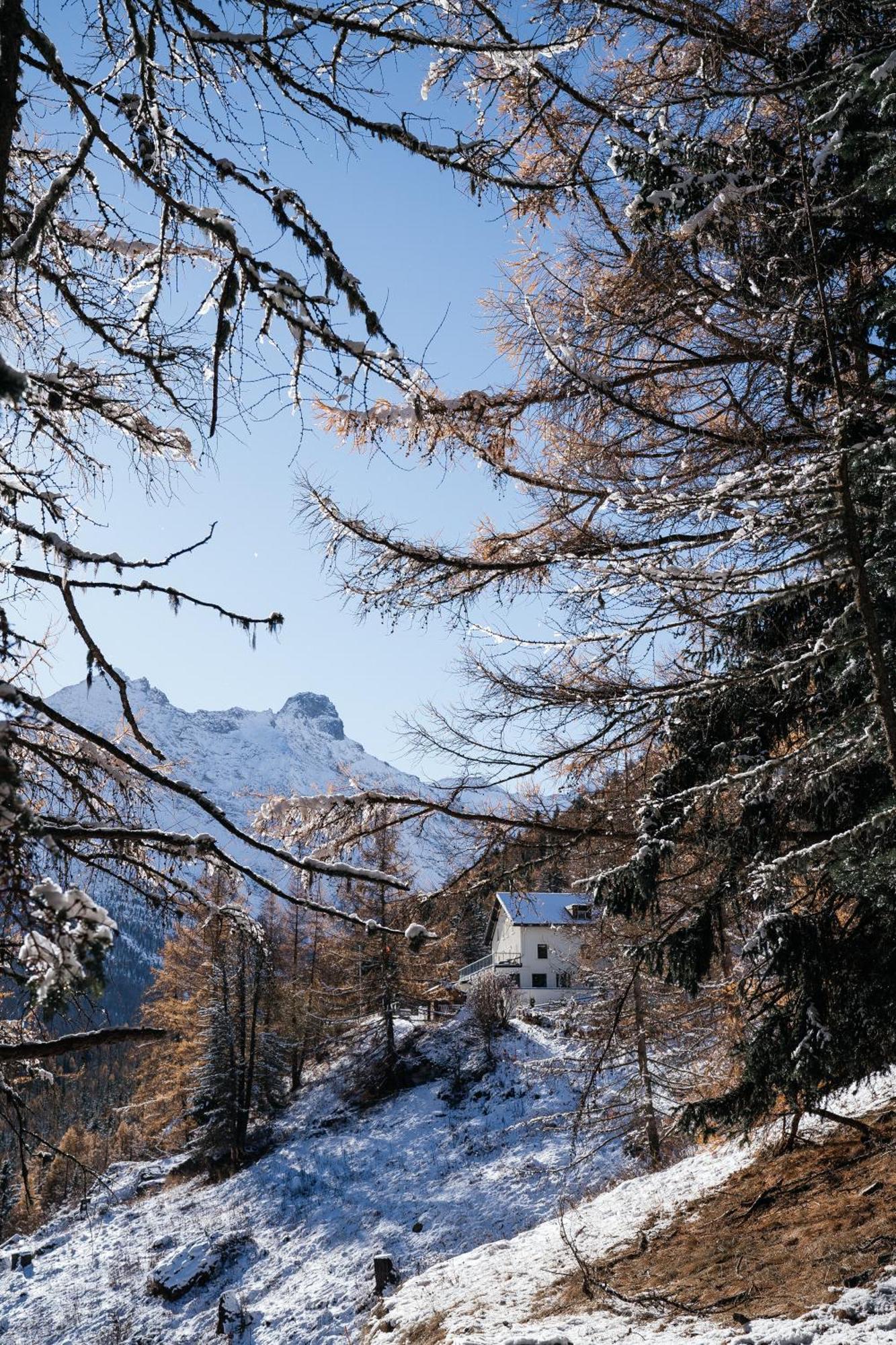 Waldhotel Fletschhorn Panoramic Retreat In Saas Fee Buitenkant foto