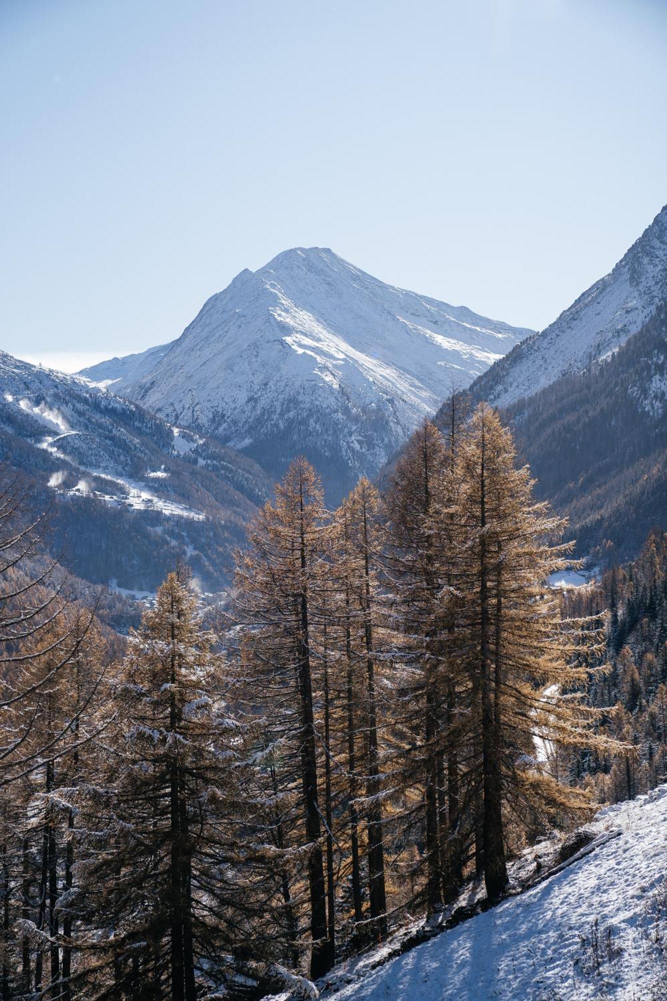 Waldhotel Fletschhorn Panoramic Retreat In Saas Fee Buitenkant foto