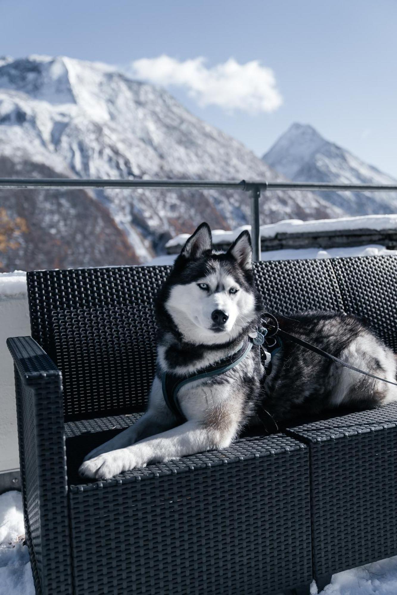 Waldhotel Fletschhorn Panoramic Retreat In Saas Fee Buitenkant foto